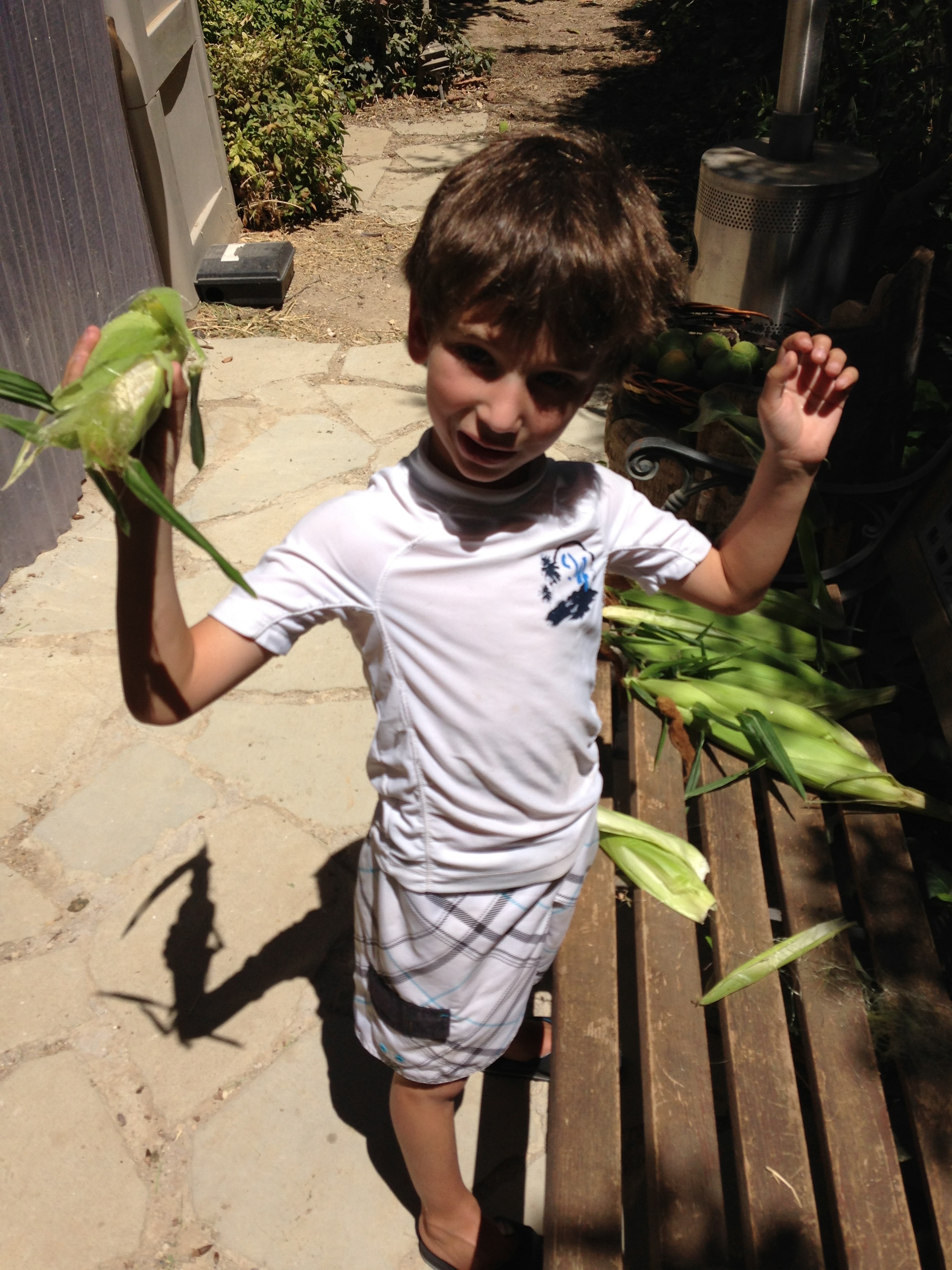 Jack shucking corn Sept 2013