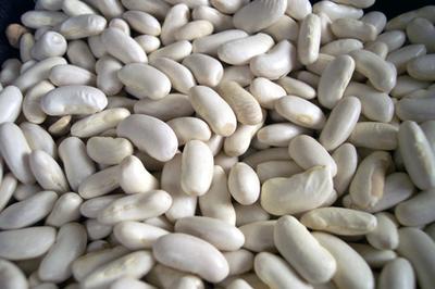 white-pinto-beans