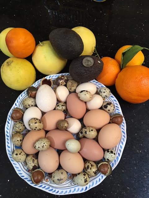 little-farm-bounty-eggs-nuts-avocado-navel-orange-blood-orange-palestinian-lime-valencia-2016